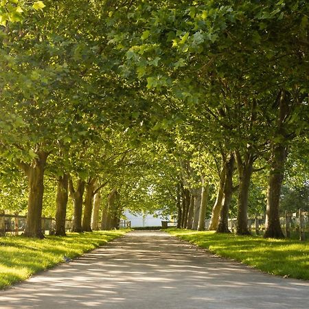 De Roterij Lejlighed Wevelgem Eksteriør billede